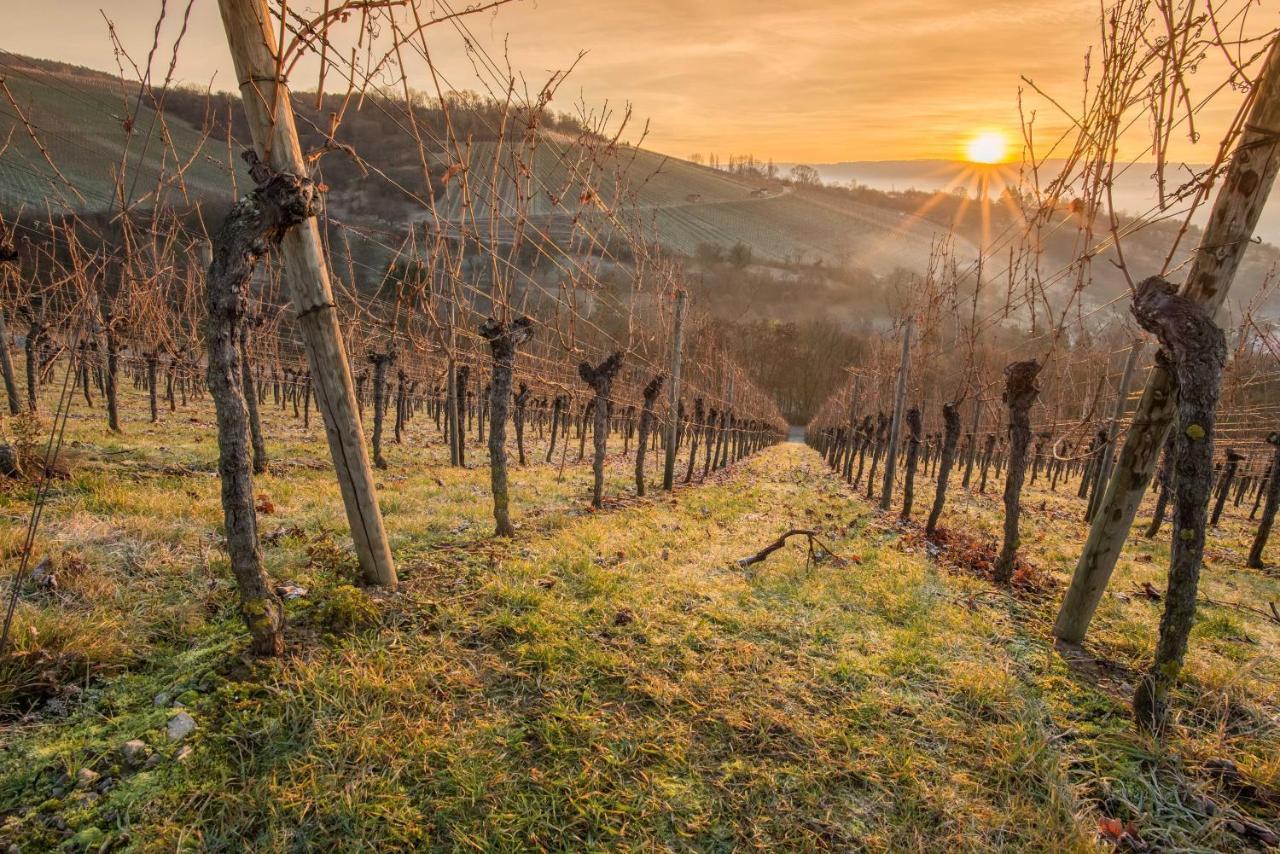 Weinstoeckl Hochgrail Pures Sein Villa Sankt Stefan ob Stainz Eksteriør bilde