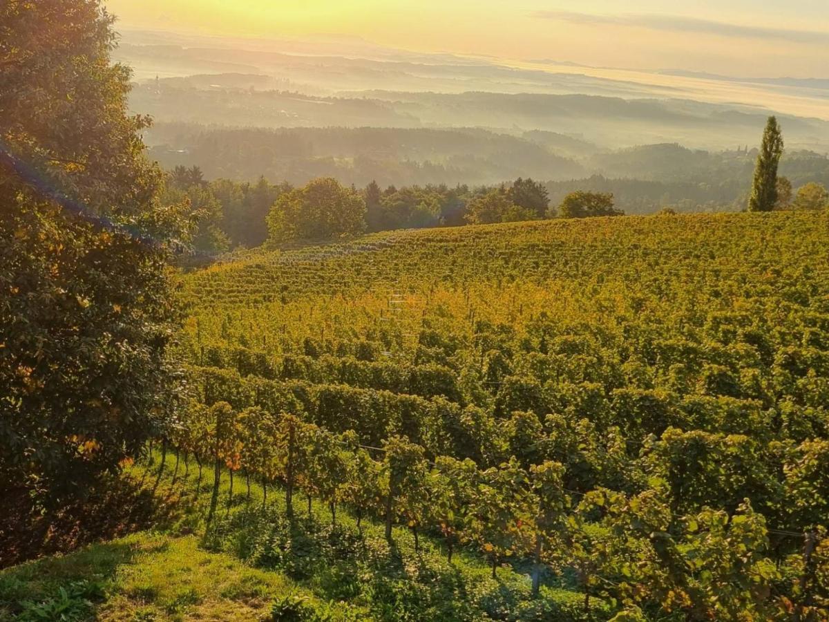 Weinstoeckl Hochgrail Pures Sein Villa Sankt Stefan ob Stainz Eksteriør bilde